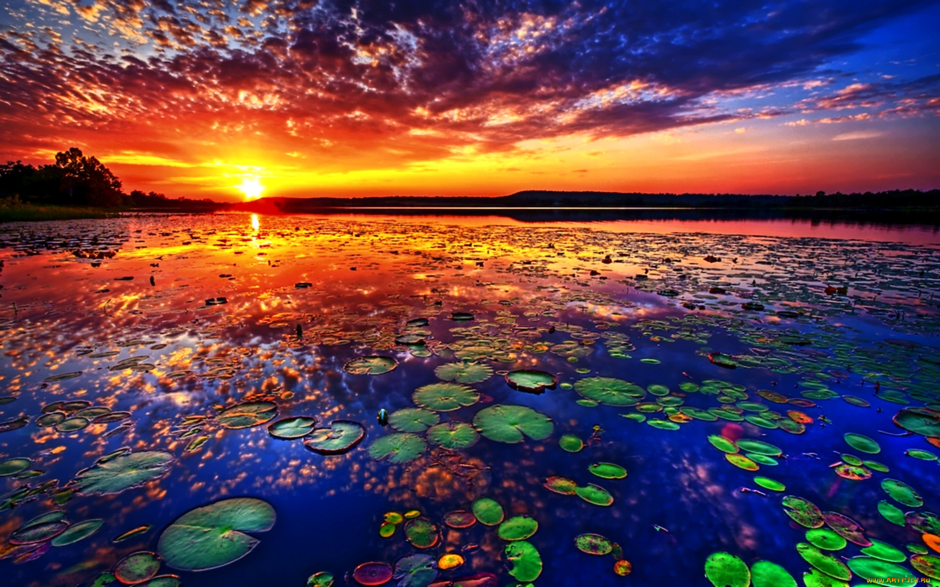 lake, of, dreams, , , , , , 